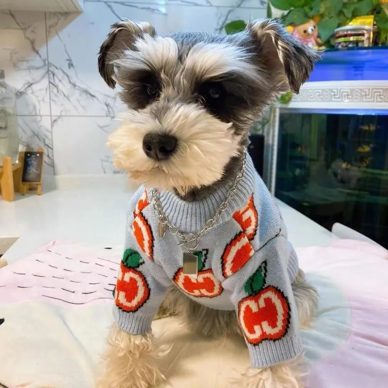 Baju Sweater Anjing Bahan Katu - Winter Clothing For Boys ulasan dan harga