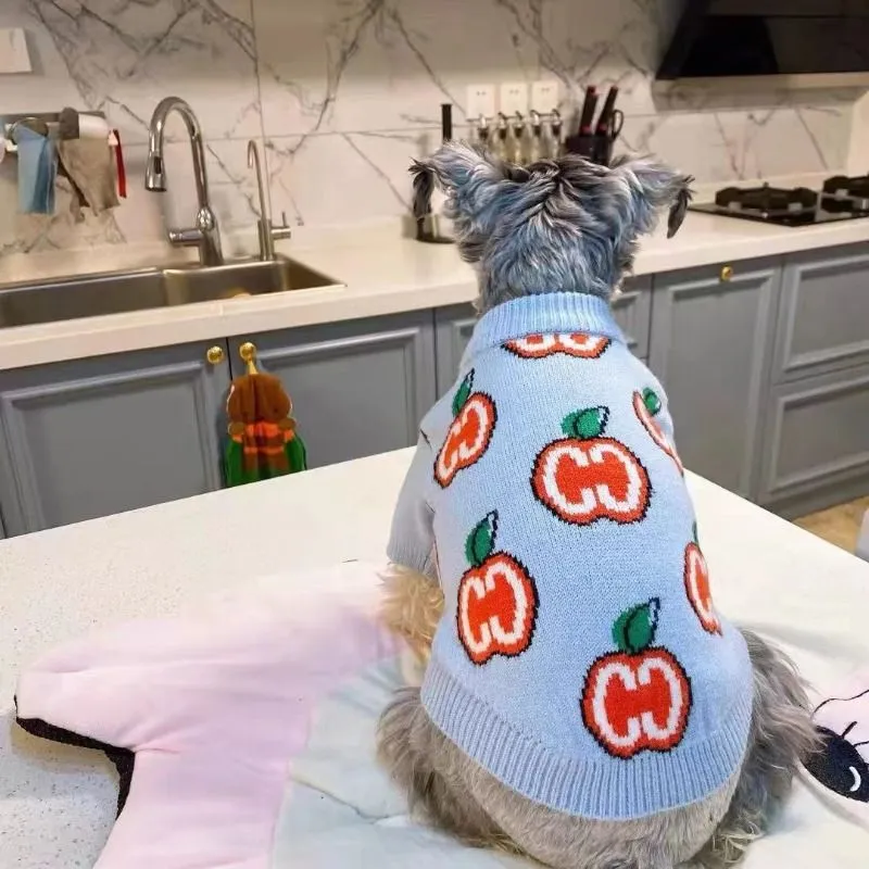 Baju Sweater Anjing Bahan Katu - Winter Clothing For Boys ulasan dan harga