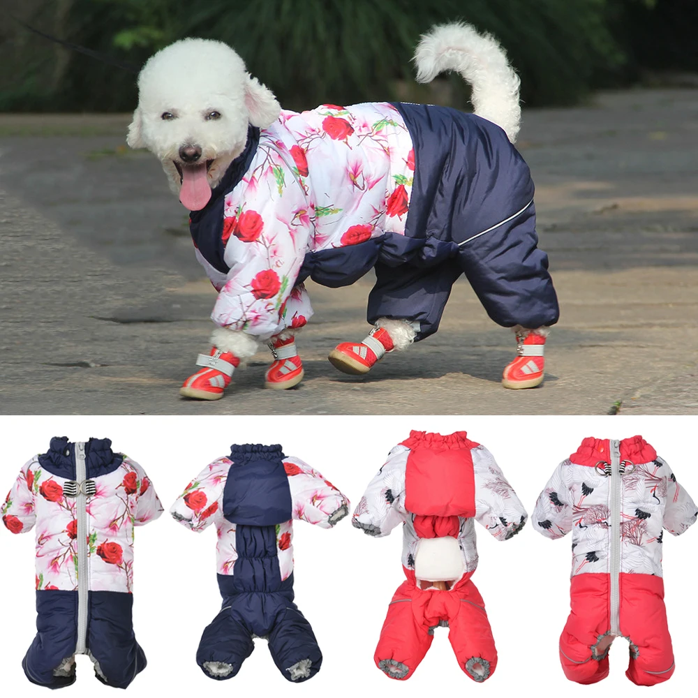 Pakaian Musim Dingin Hewan Pel - Winter Clothing For Boys ulasan dan harga